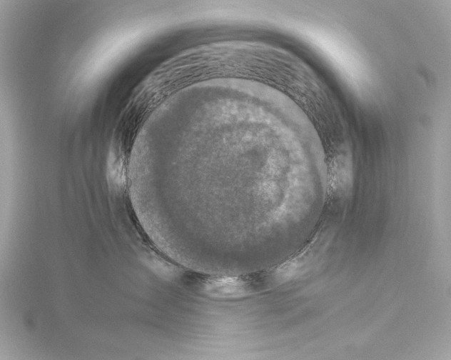 X0000115350431200912011056