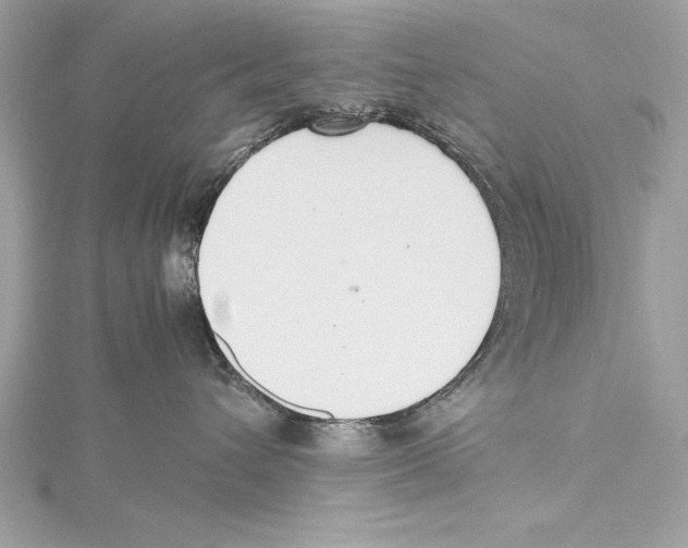 X0000115350432200912011056