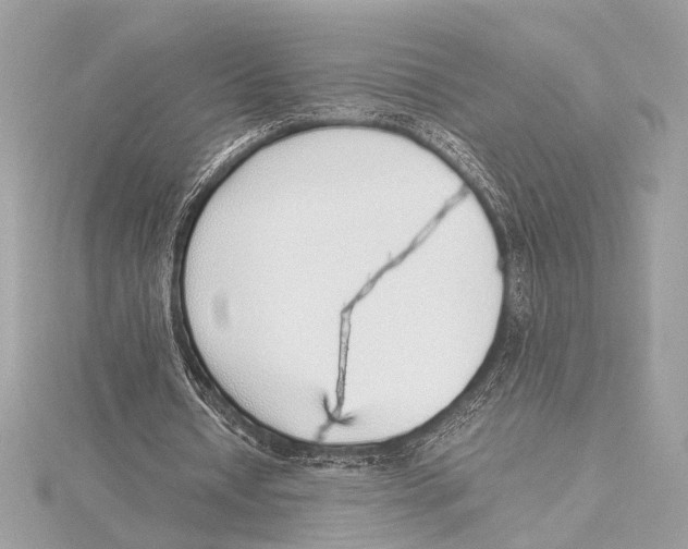 X0000115350434200912011055