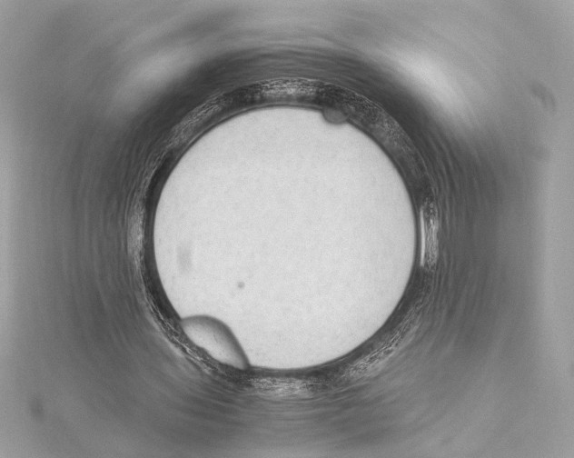 X0000115350435200912011055