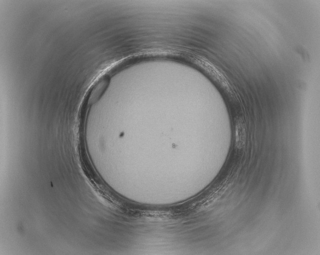 X0000115350436200912011055