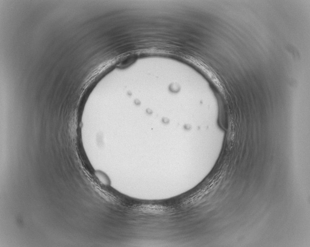 X0000115350437200912011055