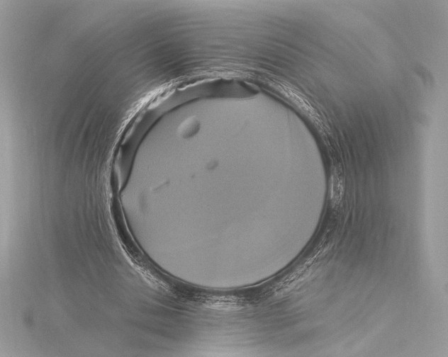 X0000115350438200912011055