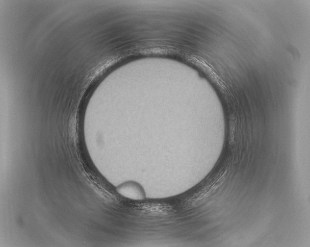 X0000115350439200912011055