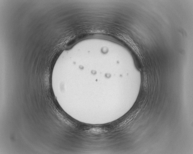 X0000115350441200912011055