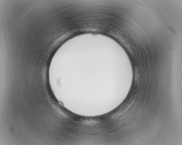 X0000115350445200912011055