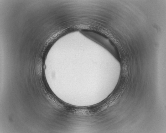 X0000115350446200912011055