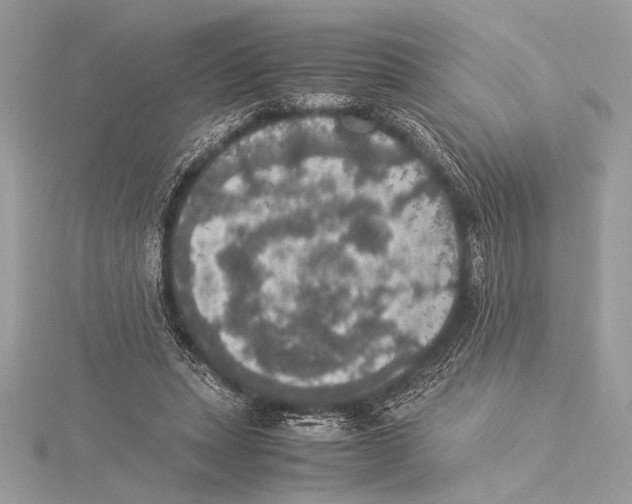 X0000115350447200912011055