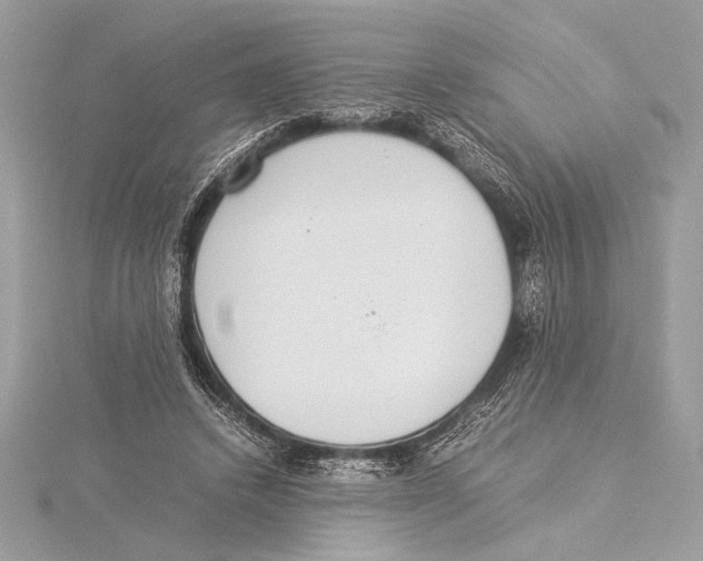 X0000115350448200912011055