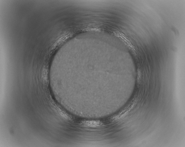 X0000115350449200912011055