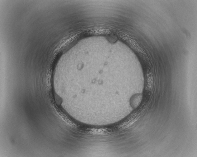 X0000115350450200912011055