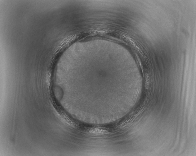 X0000115350451200912011055