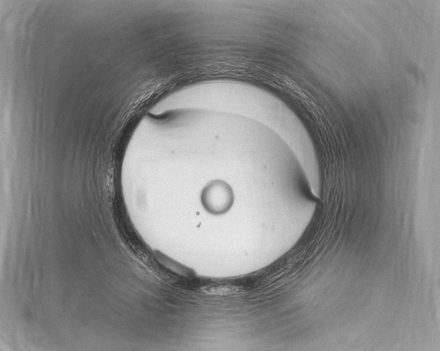 X0000115350452200912011055