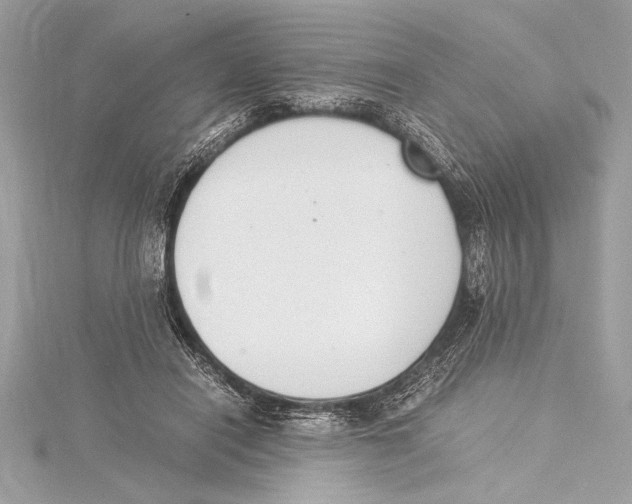 X0000115350454200912011055