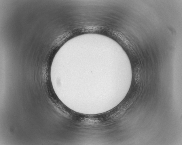 X0000115350455200912011055