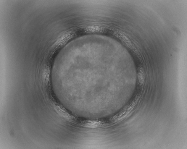 X0000115350458200912011055