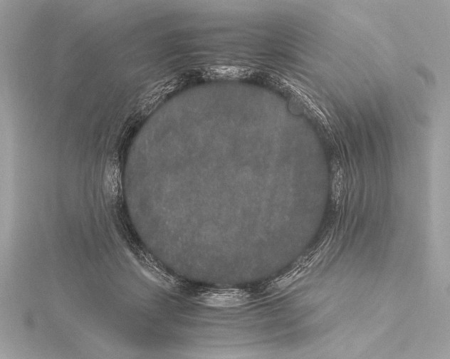 X0000115350459200912011055