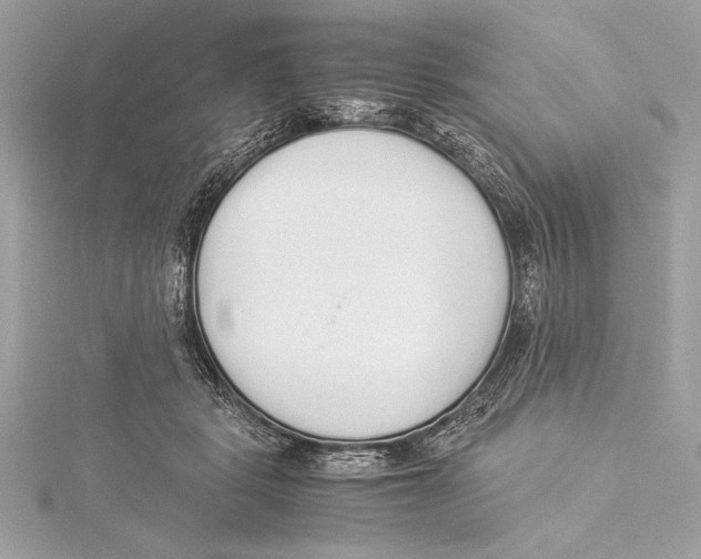 X0000115350461200912011055