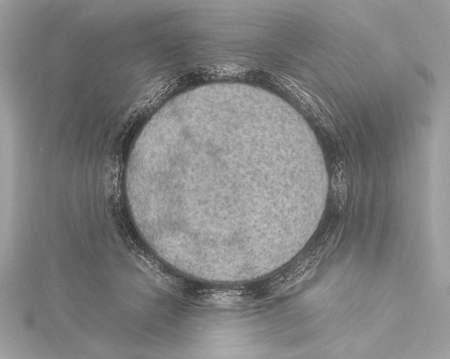 X0000115350462200912011055