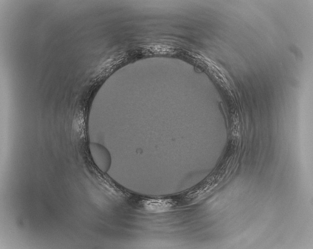 X0000115350465200912011055