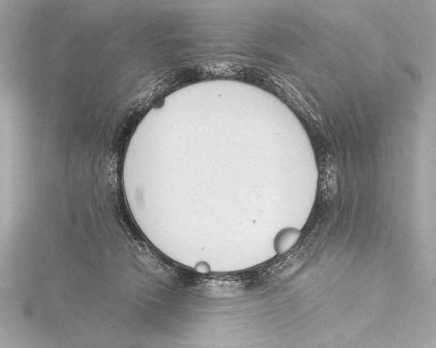 X0000115350466200912011055