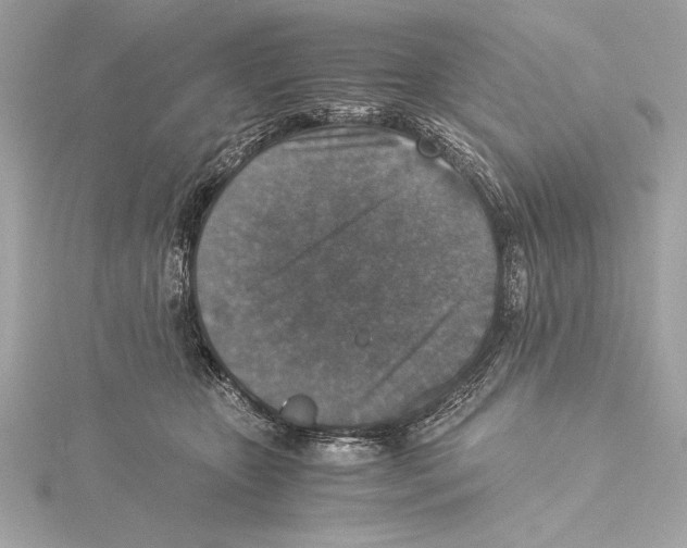 X0000115350467200912011055