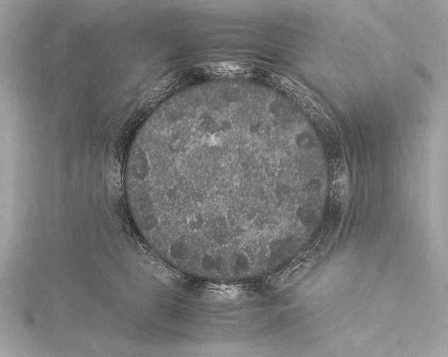 X0000115350469200912011055