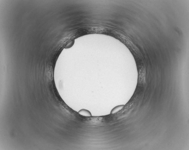 X0000115350474200912011056