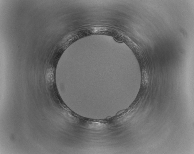 X0000115350475200912011056