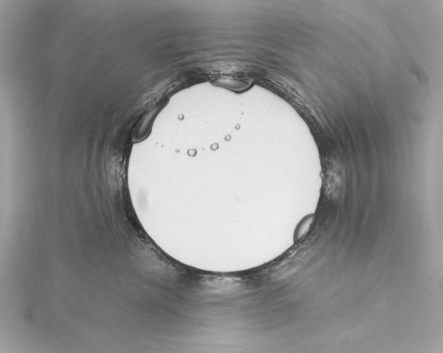 X0000115350476200912011056