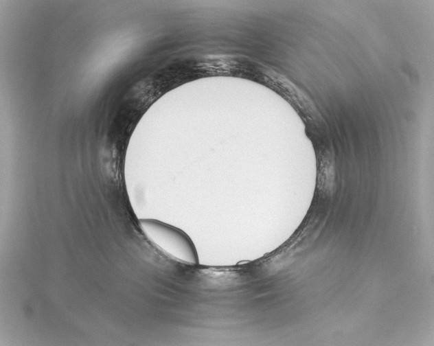 X0000115350477200912011056