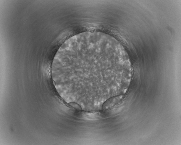 X0000115350479200912011056