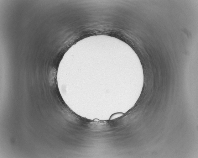 X0000115350480200912011056