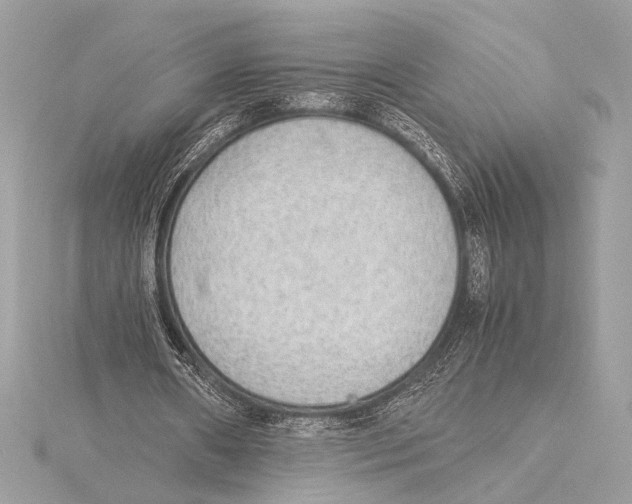 X0000115350482200912011055