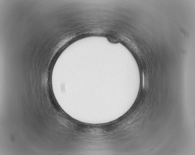 X0000115350483200912011055