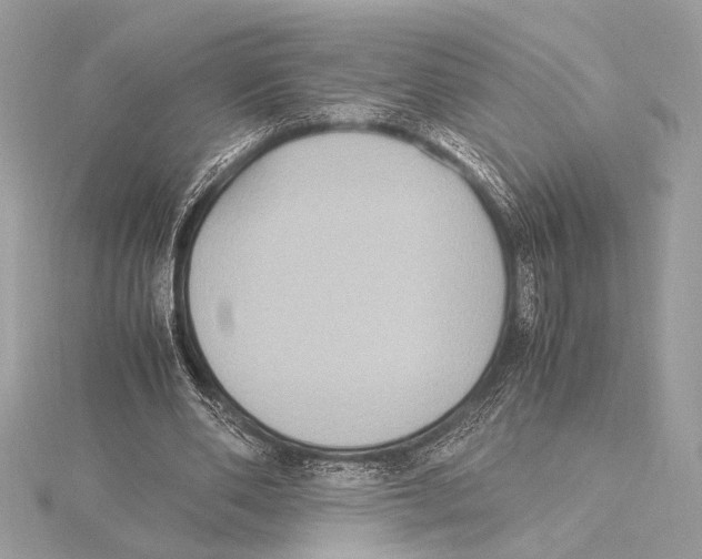 X0000115350486200912011055