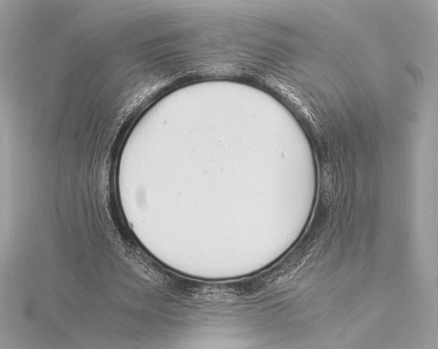 X0000115350487200912011055