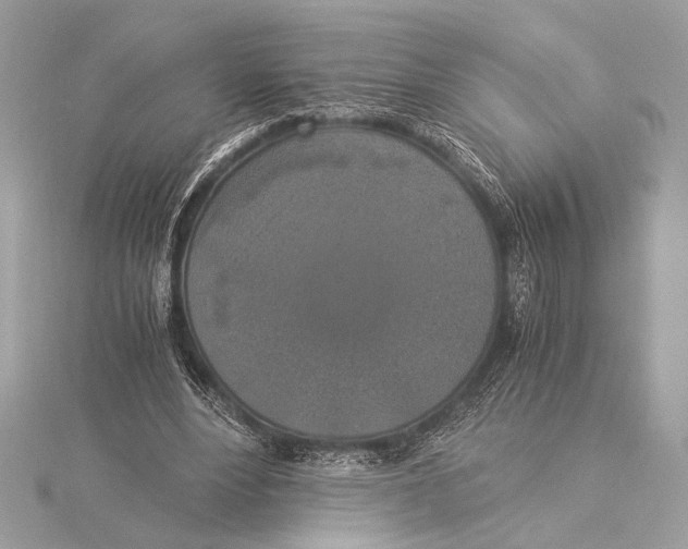 X0000115350488200912011055