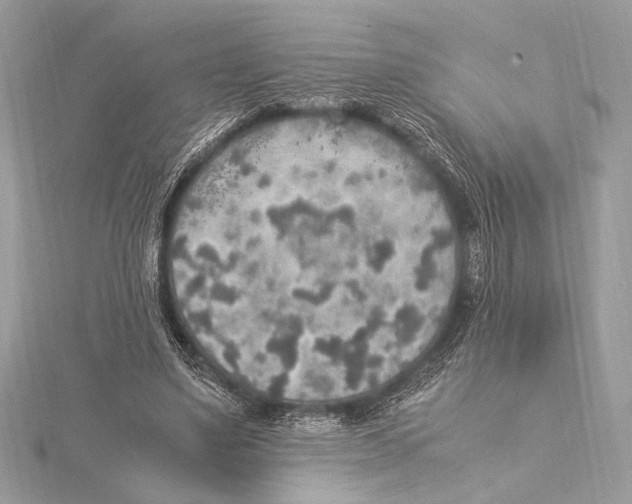 X0000115350491200912011055