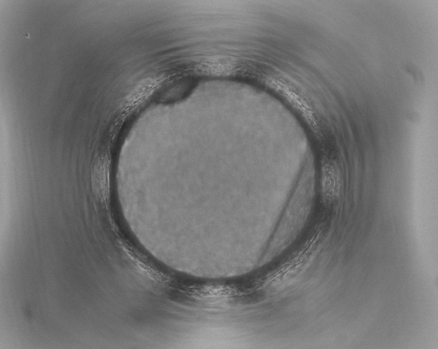 X0000115350493200912011055