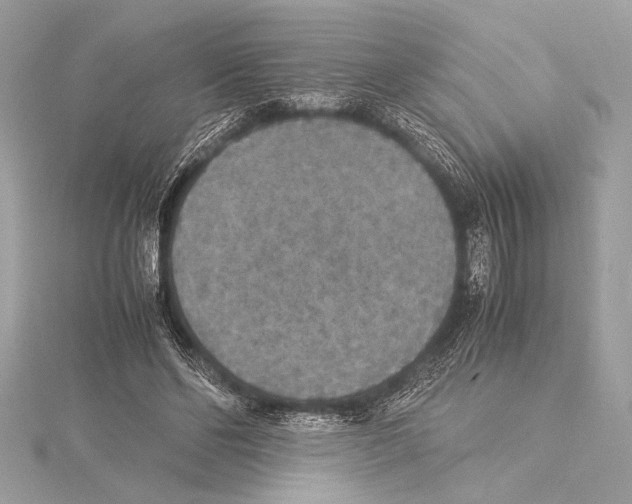 X0000115350494200912011055