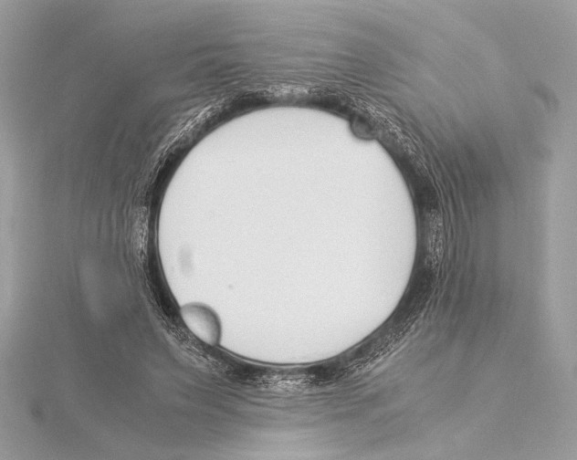 X0000115350495200912011055