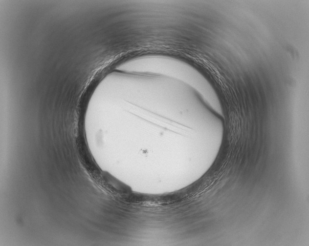 X0000115350496200912011055