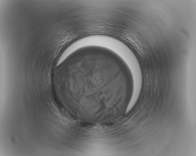 X0000115350504200912011055