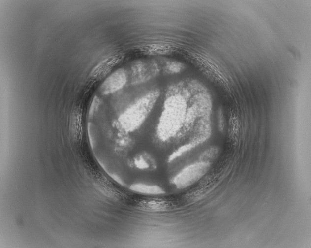 X0000115350506200912011055