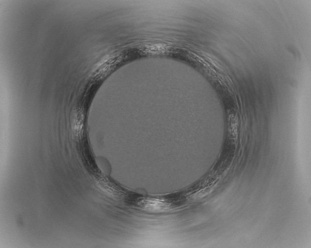 X0000115350507200912011055