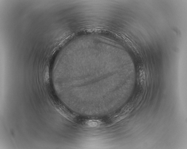 X0000115350508200912011054