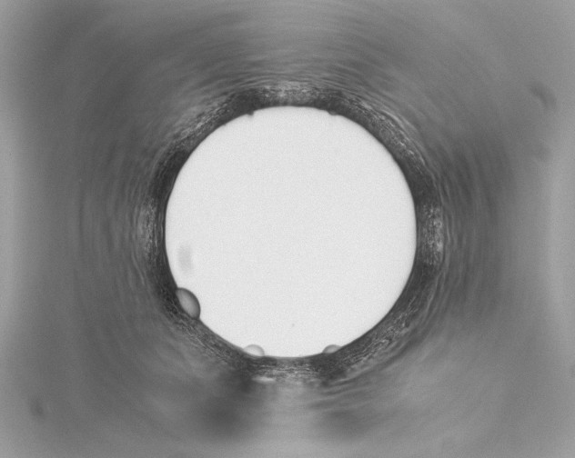 X0000115350511200912011054