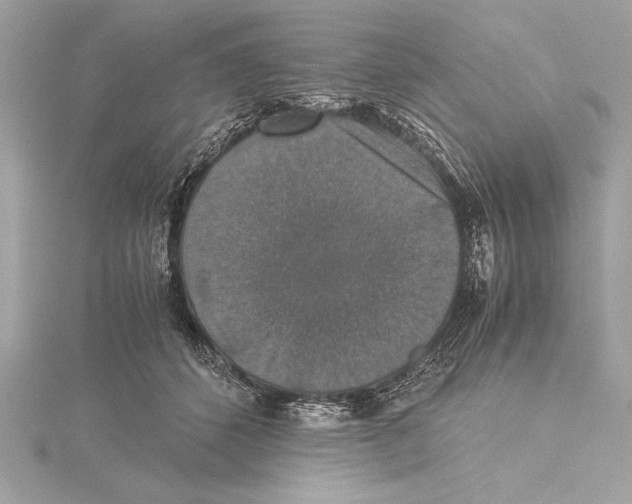 X0000115350512200912011054