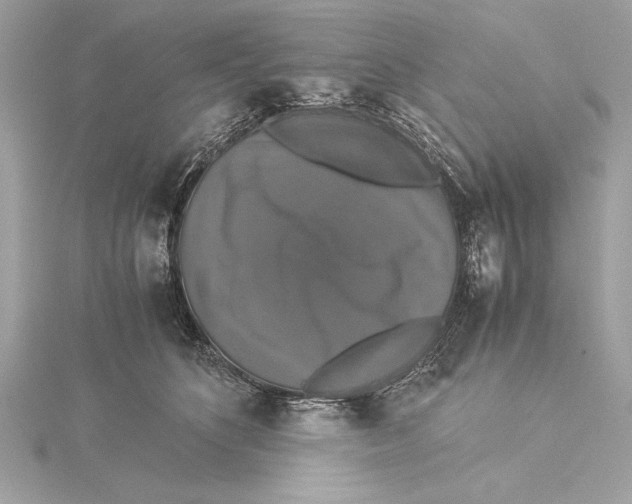 X0000115350516200912011054